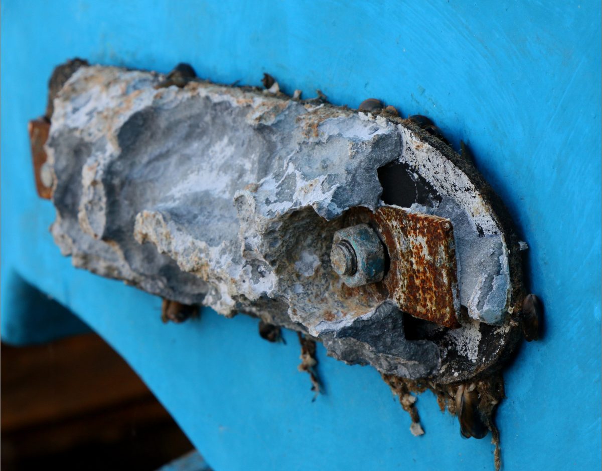 51829487959_c0cff6cfac_o