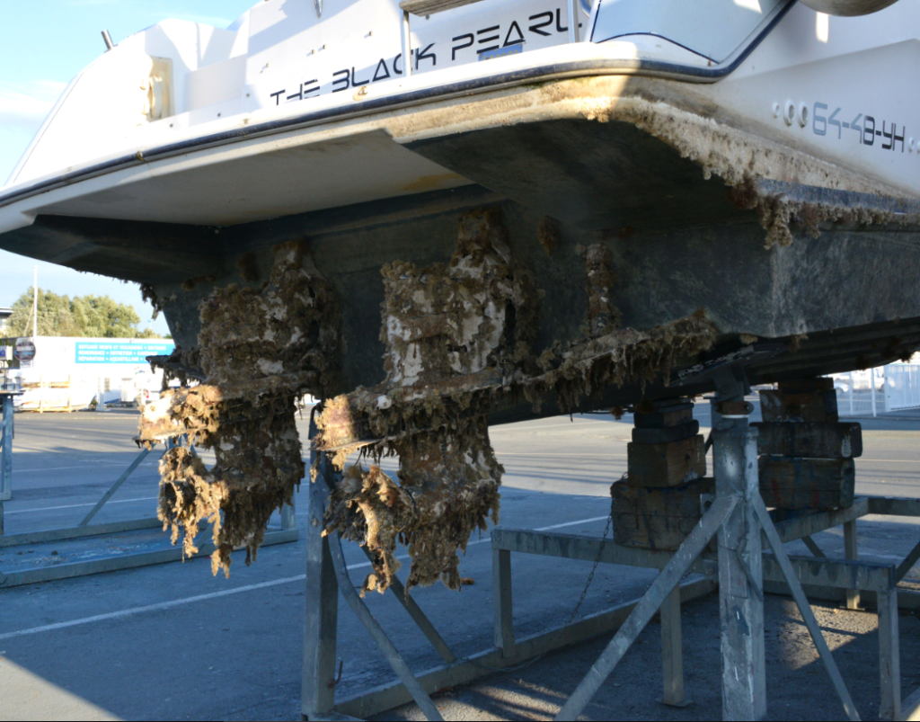 image_2025-08-29_115508669